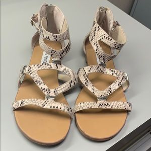 Steve Madden snake print sandals worn once